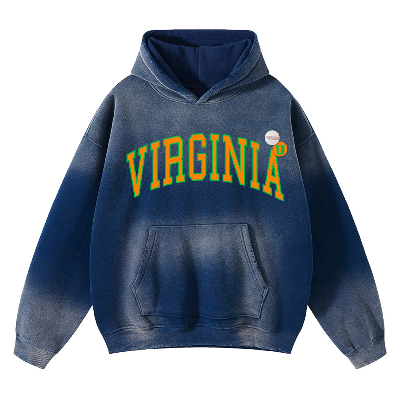 NEWTONE Sweatshirt SKYLER VIRGINIA